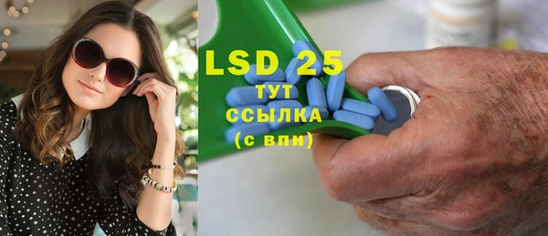 гидра Гусев