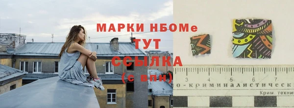 гидра Гусев