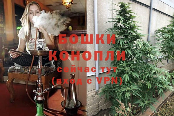 меф Гусь-Хрустальный