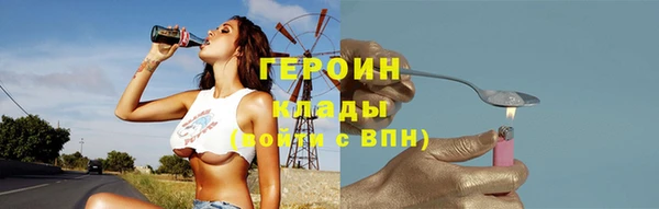 гидра Гусев
