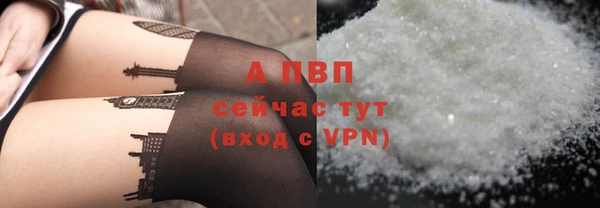 гидра Гусев