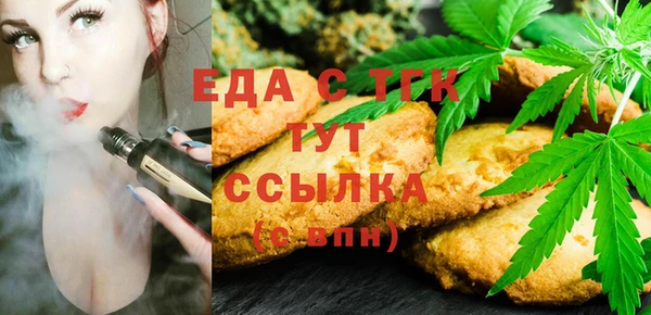 гидра Гусев