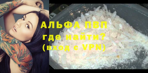 гидра Гусев