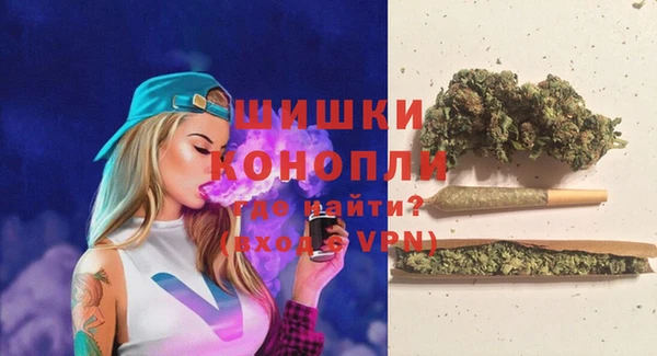 гидра Гусев