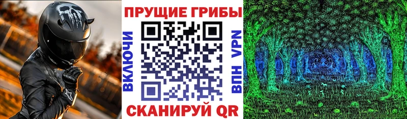 как найти   Новоульяновск  Галлюциногенные грибы мицелий 